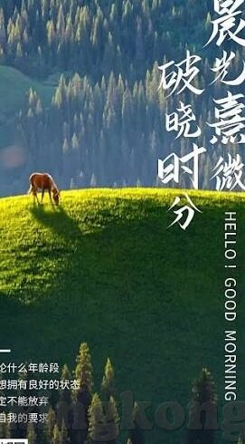 1足球比分-足球比分背后的热血与智慧,一场绿茵场的数字盛宴