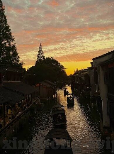 365即时比分足球比分-探秘365即时比分,足球迷的实时数据宝藏库