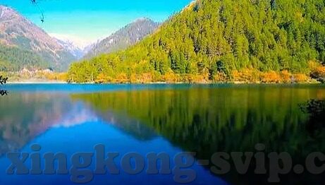 广州对江苏足球比分-绿茵烽火,广州与江苏足球比分背后的竞技风云与情感交响