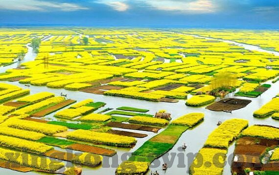 竟彩球探足球比分-竞彩球探,足球比分背后的数据密码与投注智慧