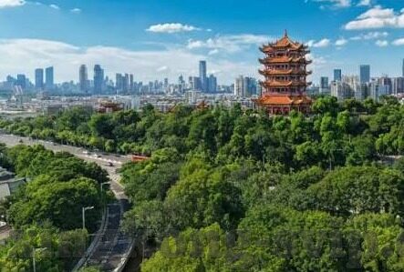 足球比分走地赔-透视足球比分走地赔,一场智慧与运气的博弈盛宴