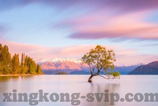 足球单场比分sp-足球单场比分SP,解码绿茵场上的数字密码